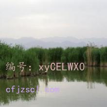 ĺ֮