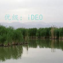 ƻ