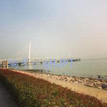 ˫