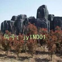ѧϰ