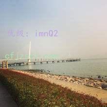 ̬
